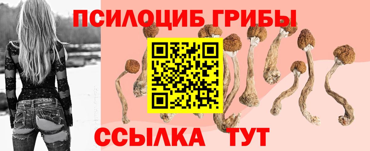 Псилоцибиновые грибы прущие грибы Видное