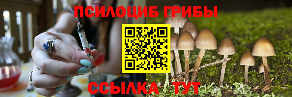 Видное  Галлюциногенные грибы мухоморы  Вход с VPN  Галлюциногенные грибы Cubensis 